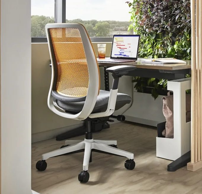 Steelcase Leap Vs Amia: Which Chair Is Better?