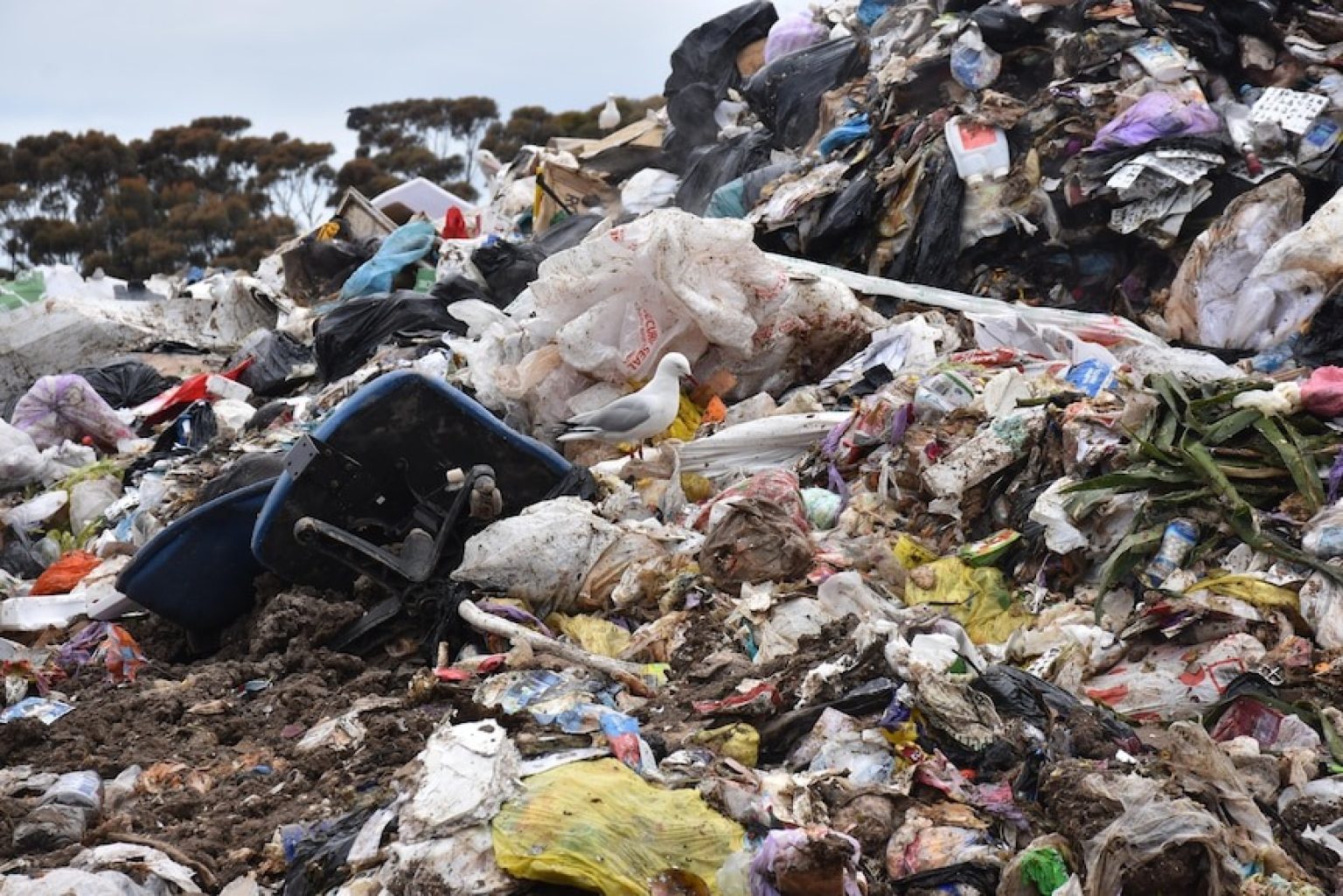 How to Dispose of an Office Chair? 4+ Best Methods