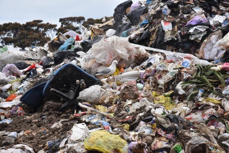 How to Dispose of an Office Chair? 4+ Best Methods