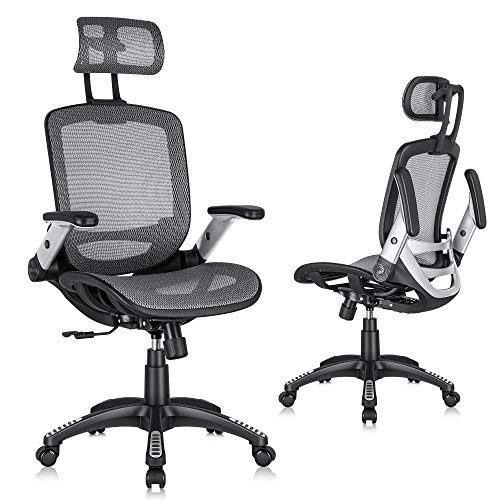 Gabrylly Ergonomic Mesh Office Chair