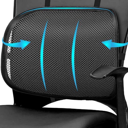 Easy Posture Mesh Lumbar Support