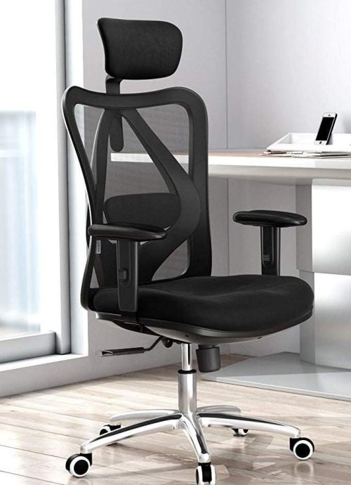 Duramont Ergonomic Office Chair 