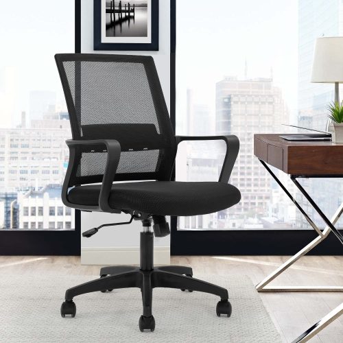 FDW Home Office Ergonomic Desk Chair