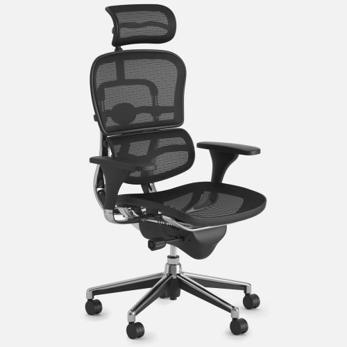 Ergohuman High Back Swivel Chair