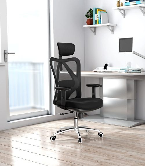 Duramont Ergonomic Office Chair