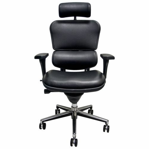 Ergohuman LE9ERG Office Chair