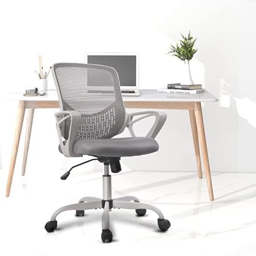 SmugDesk Ergonomic Office Chair